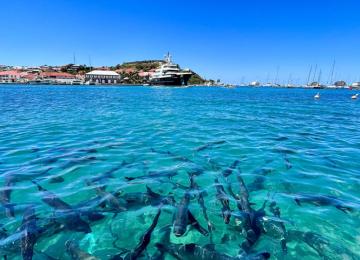 St Barth Excursions