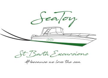 SeaToy - Speed Boat St Barthélemy